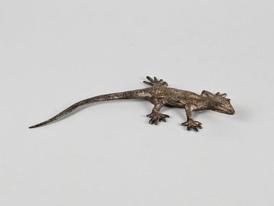 a small lizard that is sitting on a white surface