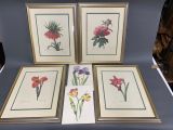 four framed botanical prints of flowers on a table