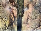un tableau représentant un arbre au milieu du désert