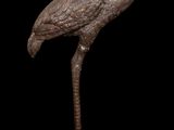 bronze statue of a standing flamingo on a black background