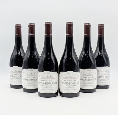 six bouteilles de vin sont alignées sur une surface blanche