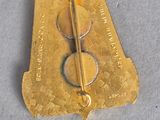 a gold brooch with a pin in the middle of it