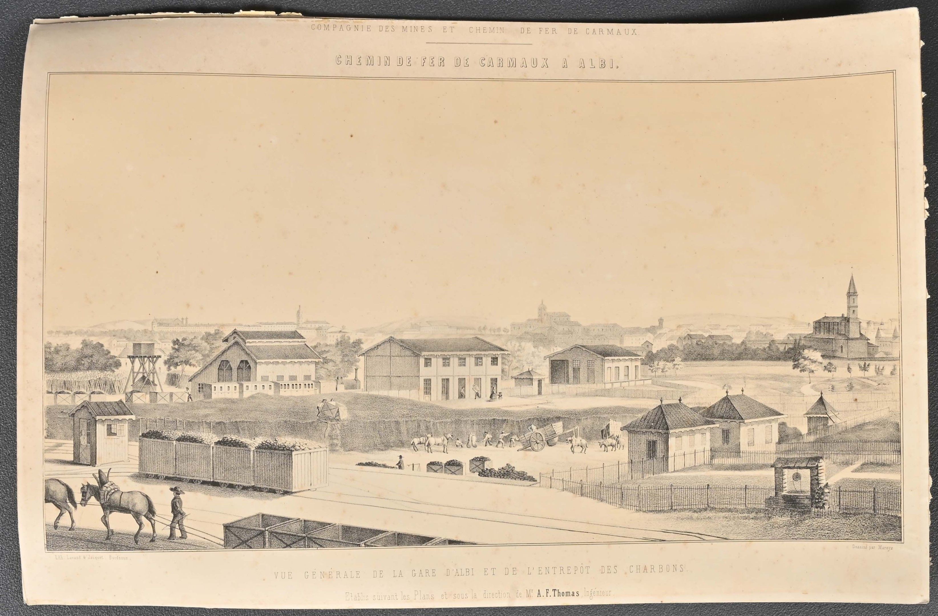 Objets d'art & Curiosités