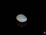 an oplite in the dark with a black background
