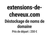 Photo 1/1 du lot