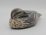 un petit oiseau perché sur une surface blanche