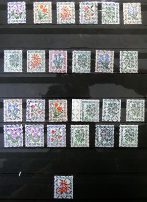 un gros plan sur une vitrine présentant des timbres ornés de fleurs