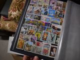 Photo 14/18 du lot