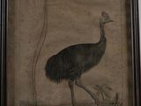 painting of an emu in a frame on a wall
