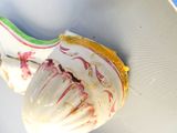 une assiette blanche ornée d'une fleur rouge et verte
