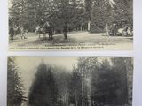 two black and white photos of horses and people in a park