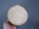 a person holding a bowl in their hand on a table