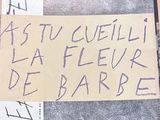 Photo 6/8 du lot