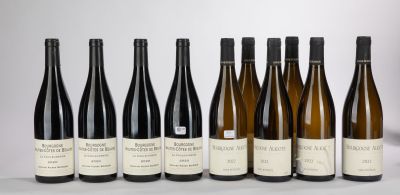 six bouteilles de vin sont alignées sur une table