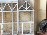 a bird cage sitting on top of a table next to a dresser