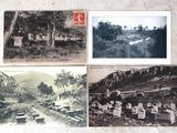 quatre cartes postales représentant d'anciennes photographies d'un cimetière et d'un cimetière