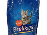 un sac de croquettes pour chat dans lequel se trouve un chaton