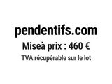 Photo 1/1 du lot