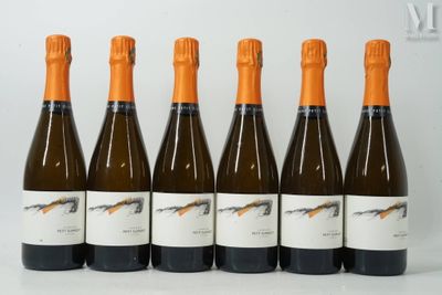 six bouteilles de vin sont alignées sur une surface blanche