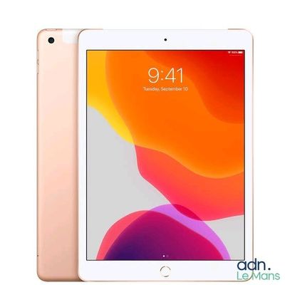 Apple iPad (7th generation) + Cellular Gold 32GB - Fonctionn…
