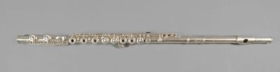 an image of a silver metal pen with a long handle
