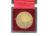 a gold medal in a red box on a white surface