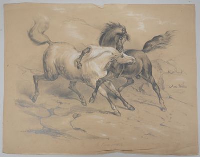 drawing of two horses running in a field with a man on the back of one horse