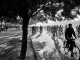 many people riding bikes down the street on a sunny day