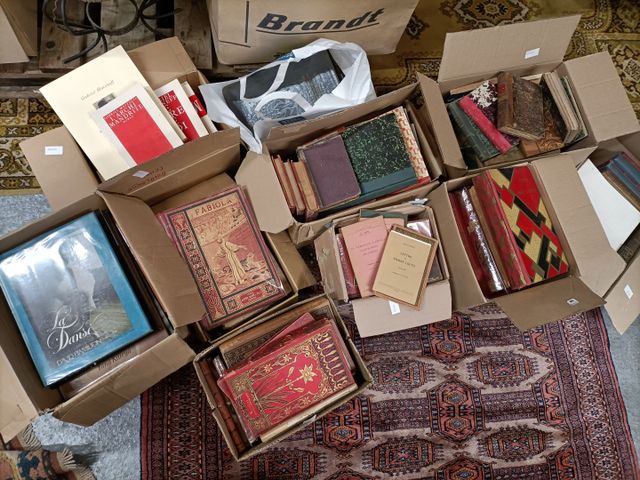 Neuf cartons et un sac de livres : livres de prix, livres XXe, Ga