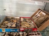 a display case filled with different types of rocks