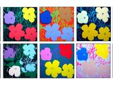 six fleurs de couleurs différentes sont disposées en rangées sur un fond blanc