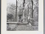 une photo en noir et blanc d'un banc dans les bois