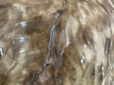 a close up picture of a brown and white cat