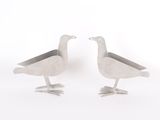 two birds standing next to each other on a white surface