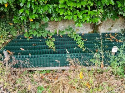 un banc posé dans l'herbe, près du mur