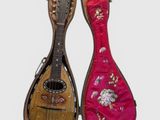 une paire d'instruments de musique dans un étui, sur fond blanc