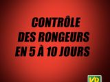 Photo 3/4 du lot