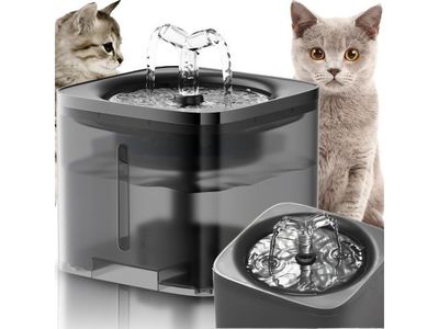 deux chats qui se tiennent près d'une fontaine