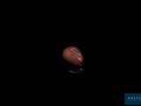 a red apple sitting on top of a black surface