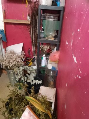 a room with a bunch of plants in it