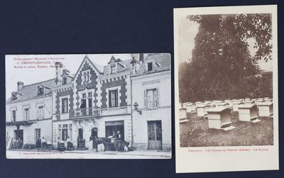 deux vieilles cartes postales représentant un bâtiment et un arbre