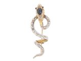 un gros plan d'une broche en forme de serpent sur fond blanc