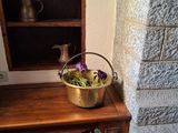 Des vases remplis de fleurs sont posés sur une table devant une bibliothèque
