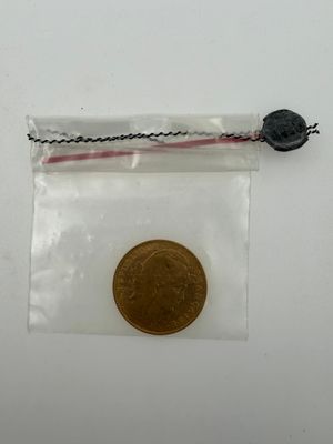 a small coin in a clear bag on a white surface