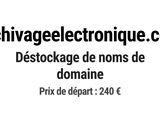 Photo 1/1 du lot
