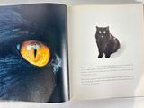 an open book with a picture of a black cat and a yellow eye