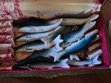 a bunch of fish in a box on a table