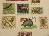 many different stamps on a table with a person holding a cell phone