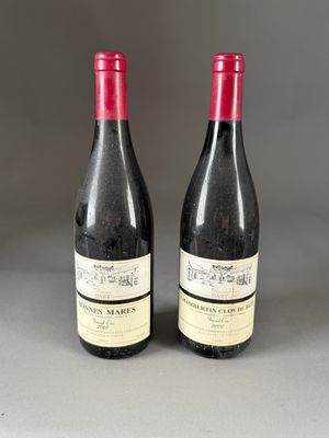 2 B . 1 B de Bonnes Marres GC et 1 B de Chambertin Clos de B… - Photo 1