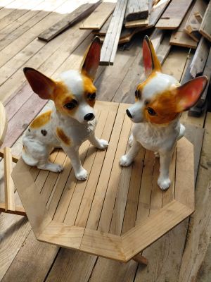 deux petits chiens assis sur une table en bois